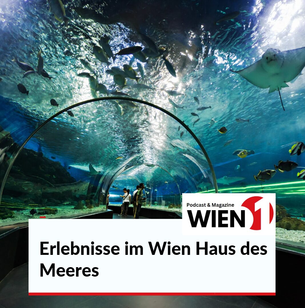 Führungen und Fütterungen als besondere Erlebnisse im Wien Haus des Meeres