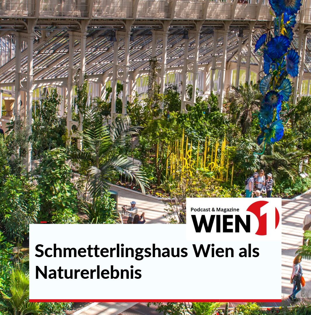 Schmetterlingshaus Wien als Naturerlebnis Schmetterlingshaus Wien als Naturerlebnis