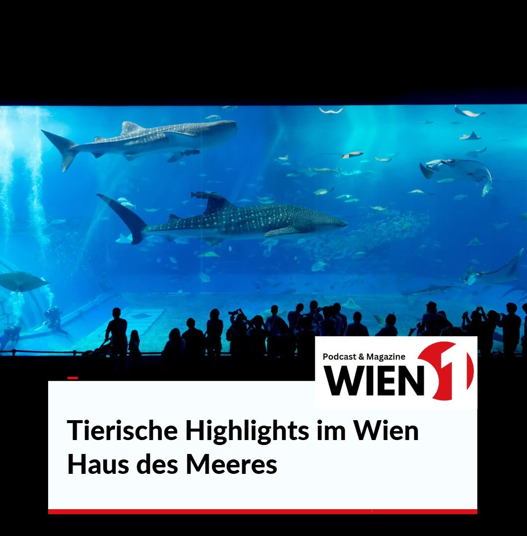 Tierische Highlights im Wien Haus des Meeres Zoo erleben