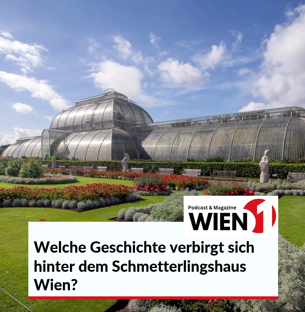 Welche Geschichte verbirgt sich hinter dem Schmetterlingshaus Wien Welche Geschichte verbirgt sich hinter dem Schmetterlingshaus Wien