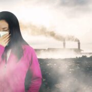 Wiener Luftqualität wird konstant besser