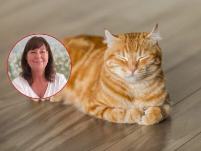 Petra Raimann interview