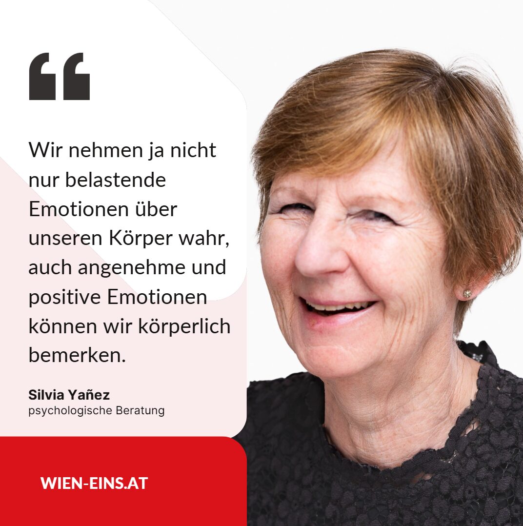 Silvia Yañez interview wien