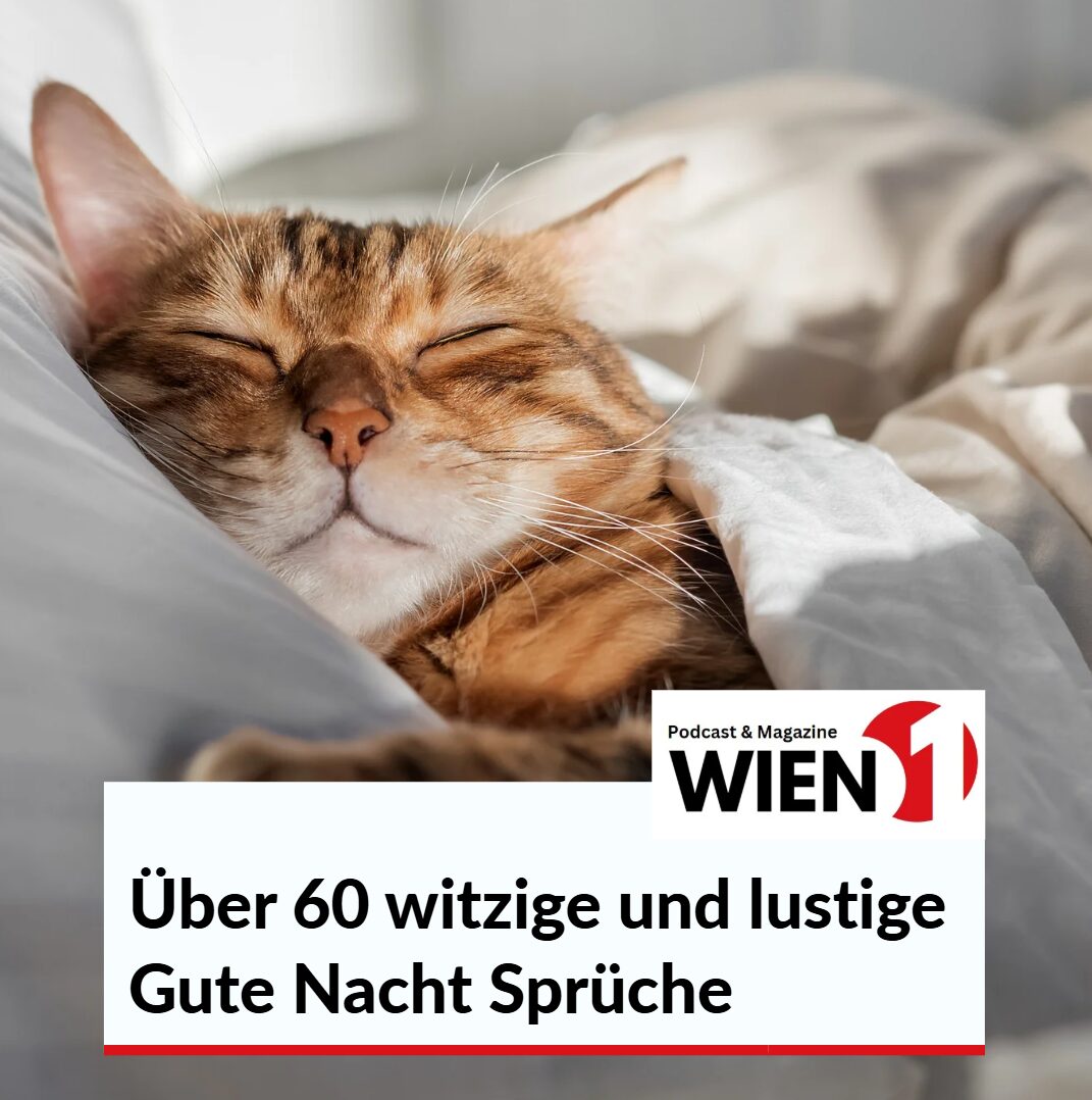 witzige und lustige gute nacht sprüche