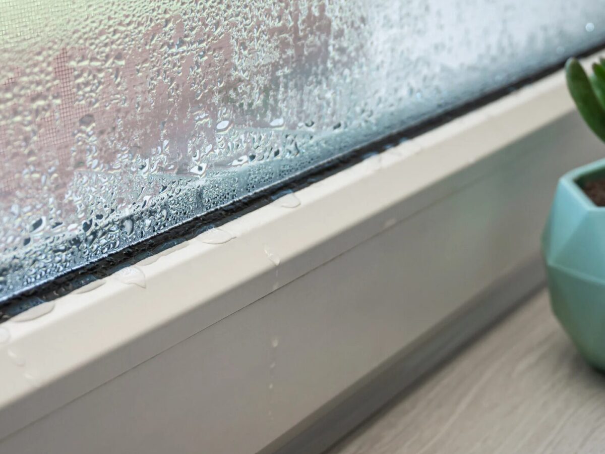 Fenster beschlagen von innen Diese Tipps helfen bei Kondenswasser