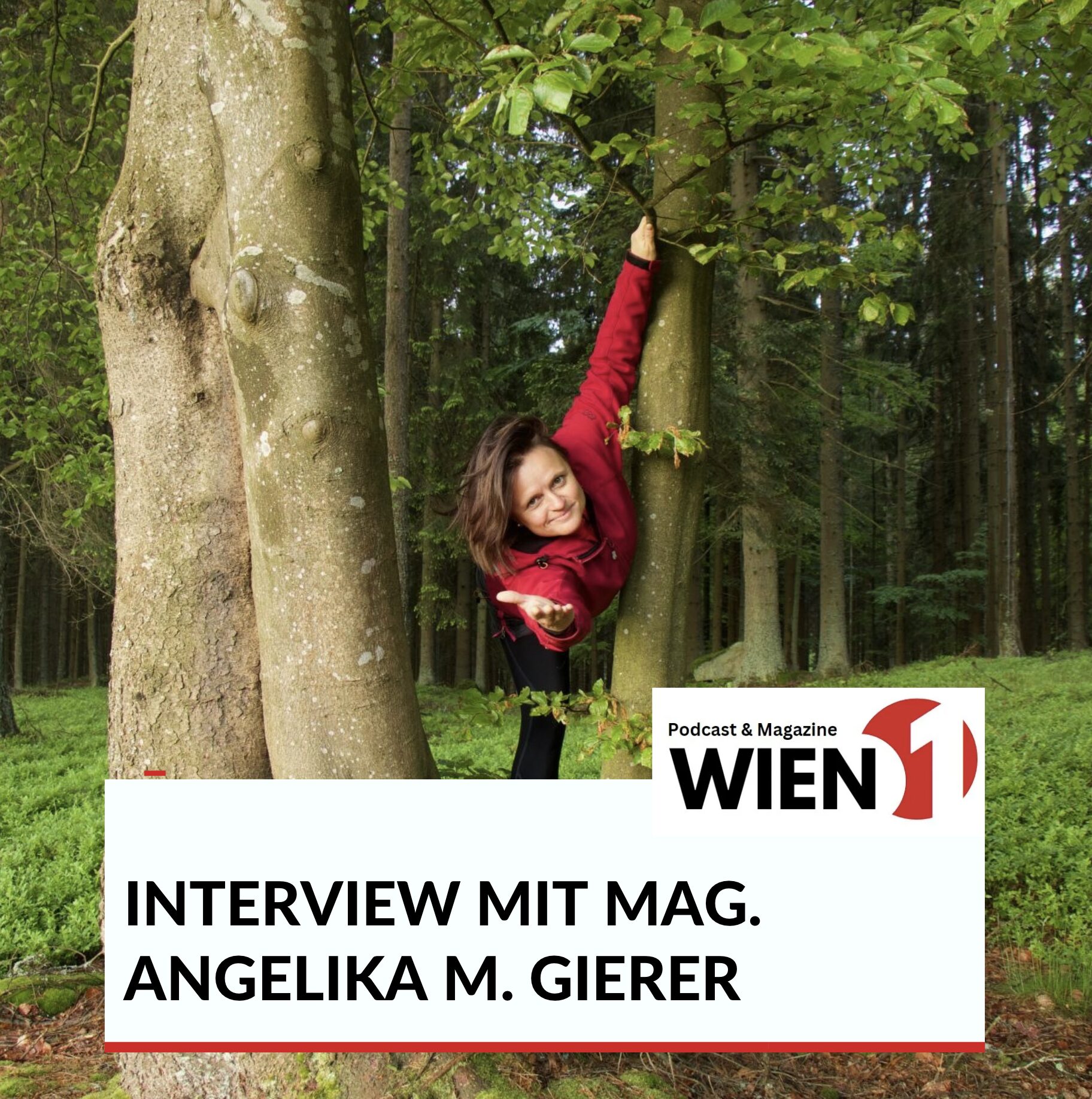 Mag. Angelika M. Gierer Interview