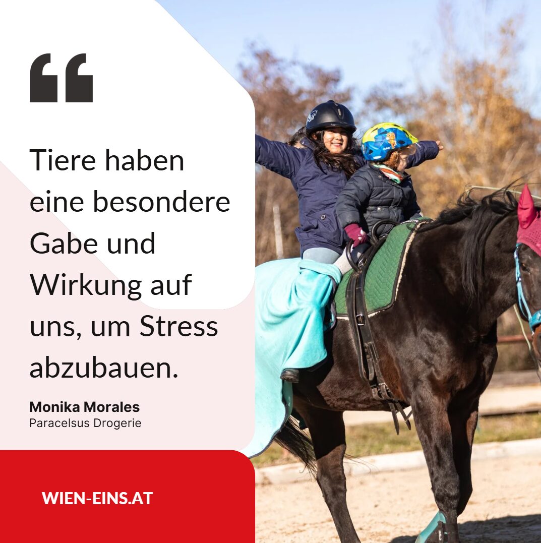 Monika Morales Interview Monika Morales Interview