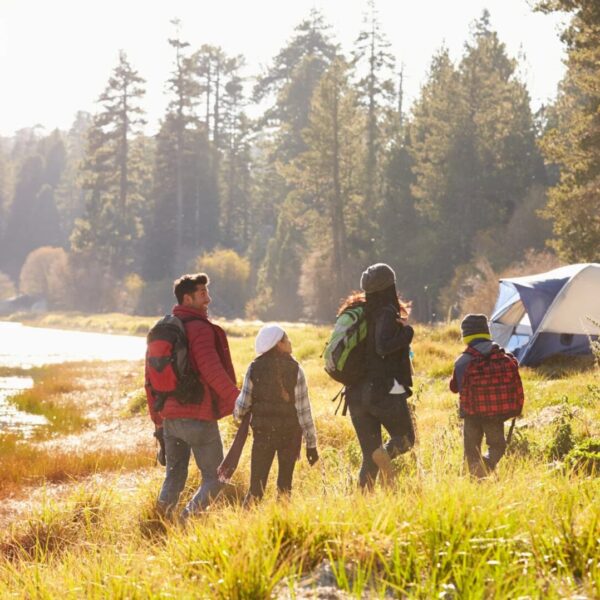 Ausflugsziele Wien und Umgebung für unvergessliche Erlebnisse