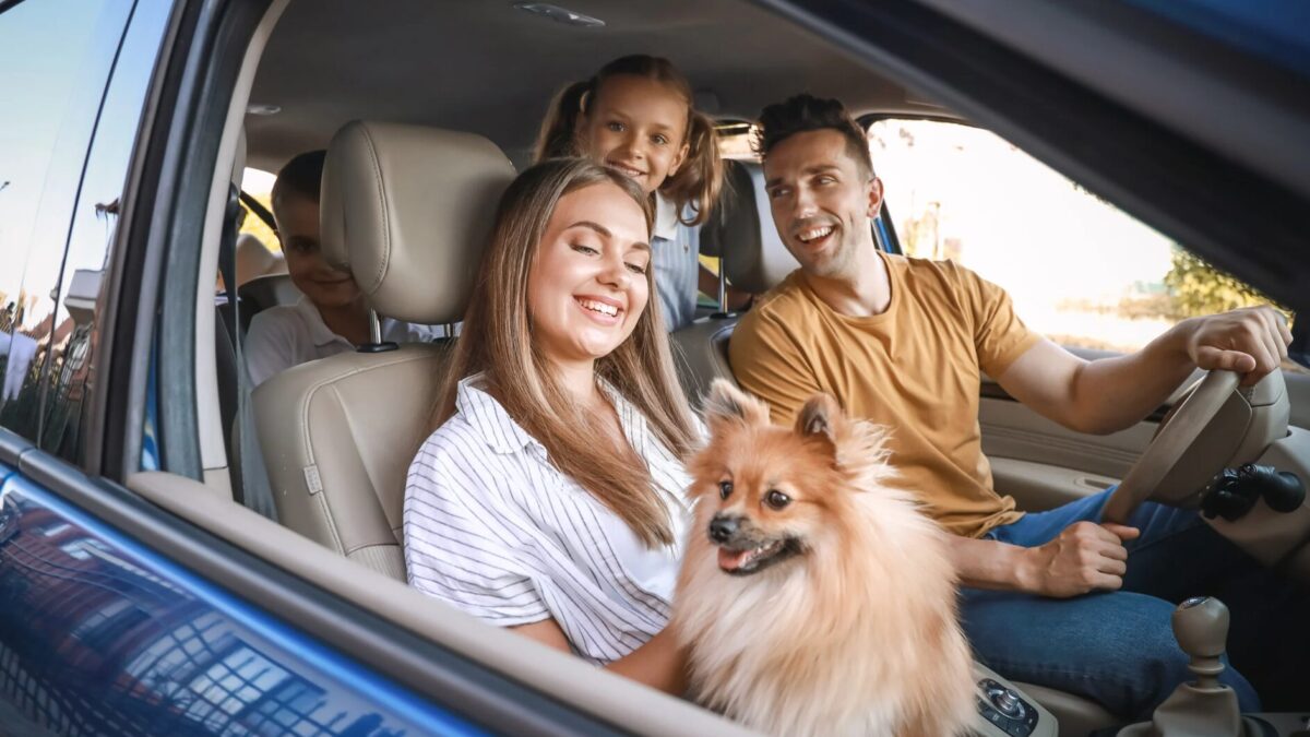 Ausflugsziele mit Hund in Wien und Umgebung