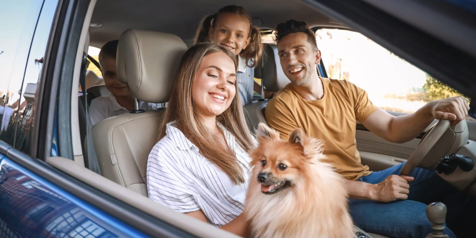 Ausflugsziele mit Hund in Wien und Umgebung