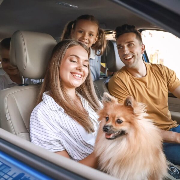 Ausflugsziele mit Hund in Wien und Umgebung