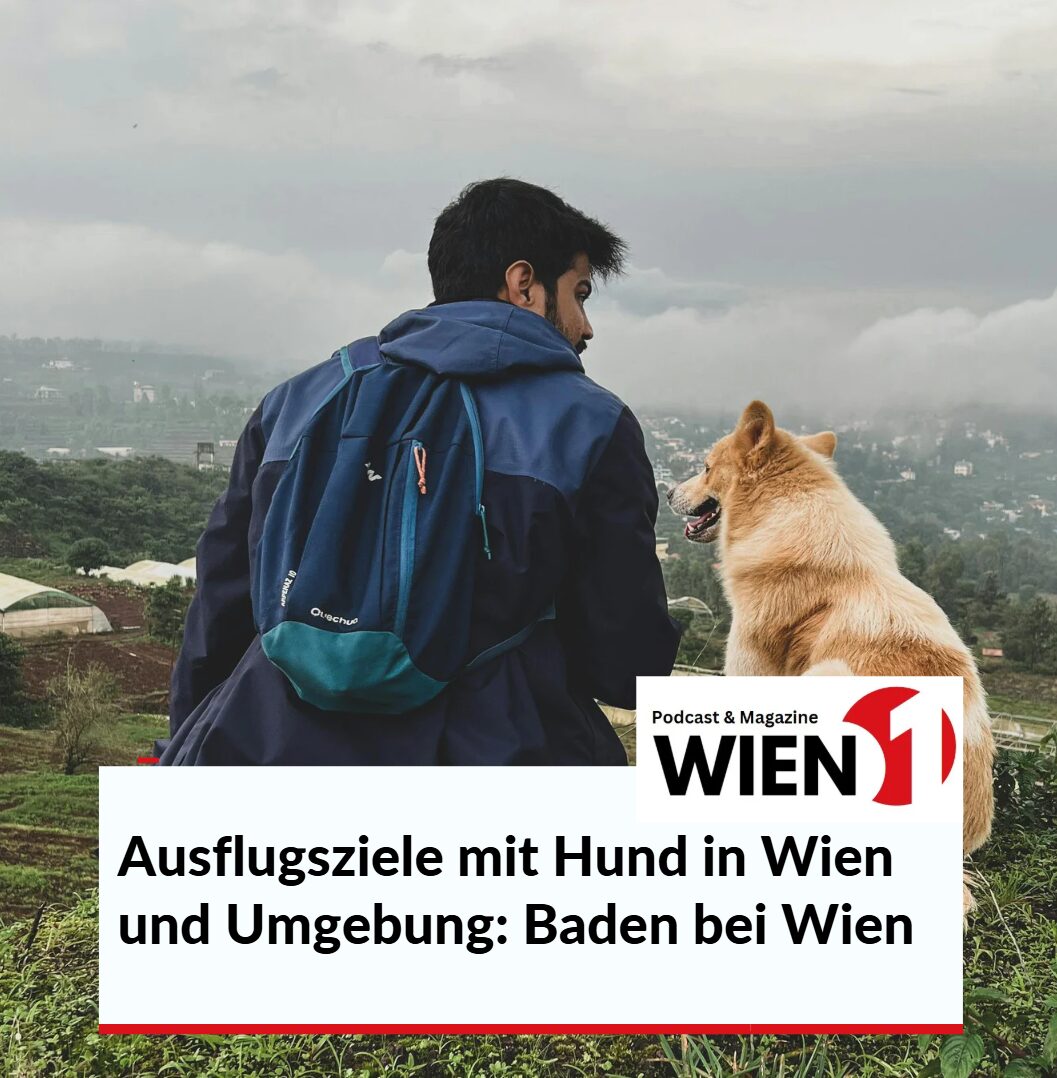 Ausflugsziele mit Hund in Wien und Umgebung Baden bei Wien Ausflugsziele mit Hund in Wien und Umgebung Baden bei Wien