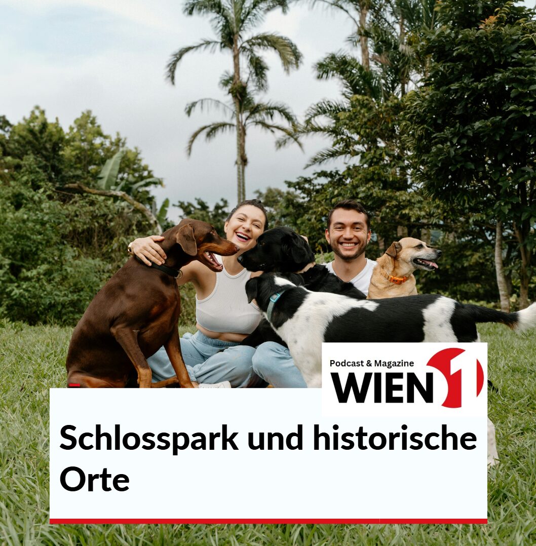 Ausflugsziele mit Hund in Wien und Umgebung Schlosspark und historische Orte Ausflugsziele mit Hund in Wien und Umgebung Schlosspark und historische Orte