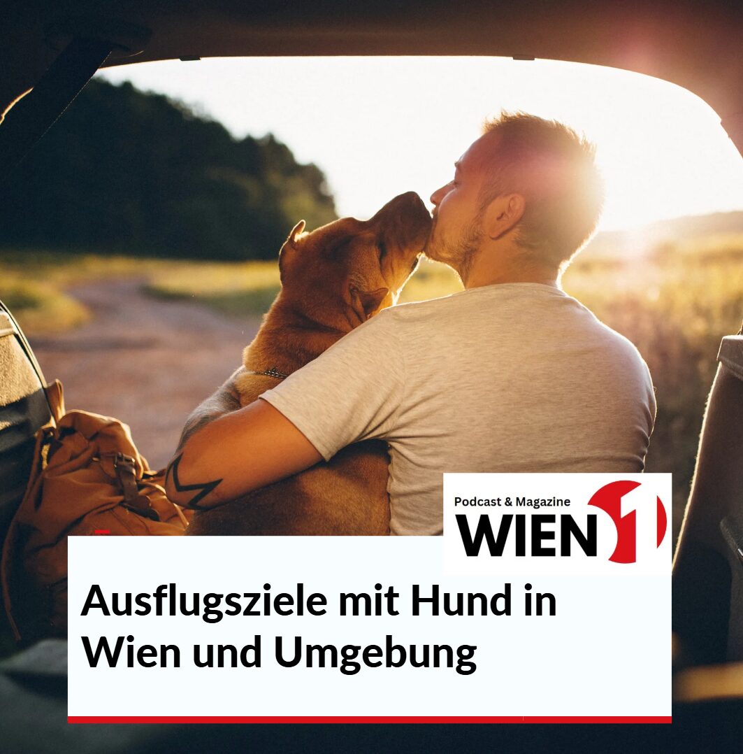 Ausflugsziele mit Hund in Wien und Umgebung Weinviertel für Genießer Ausflugsziele mit Hund in Wien und Umgebung Weinviertel für Genießer