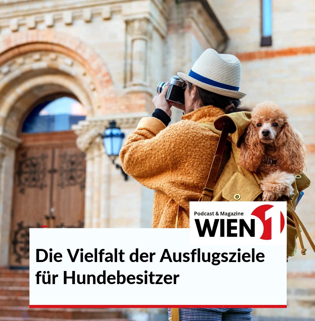 Die Vielfalt der Ausflugsziele für Hundebesitzer Die Vielfalt der Ausflugsziele für Hundebesitzer