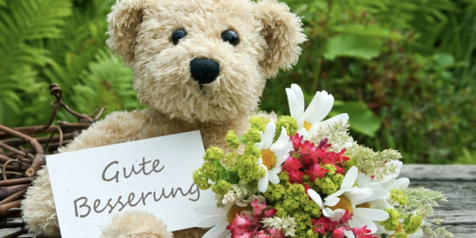 Freundschaftliche Genesungswünsche