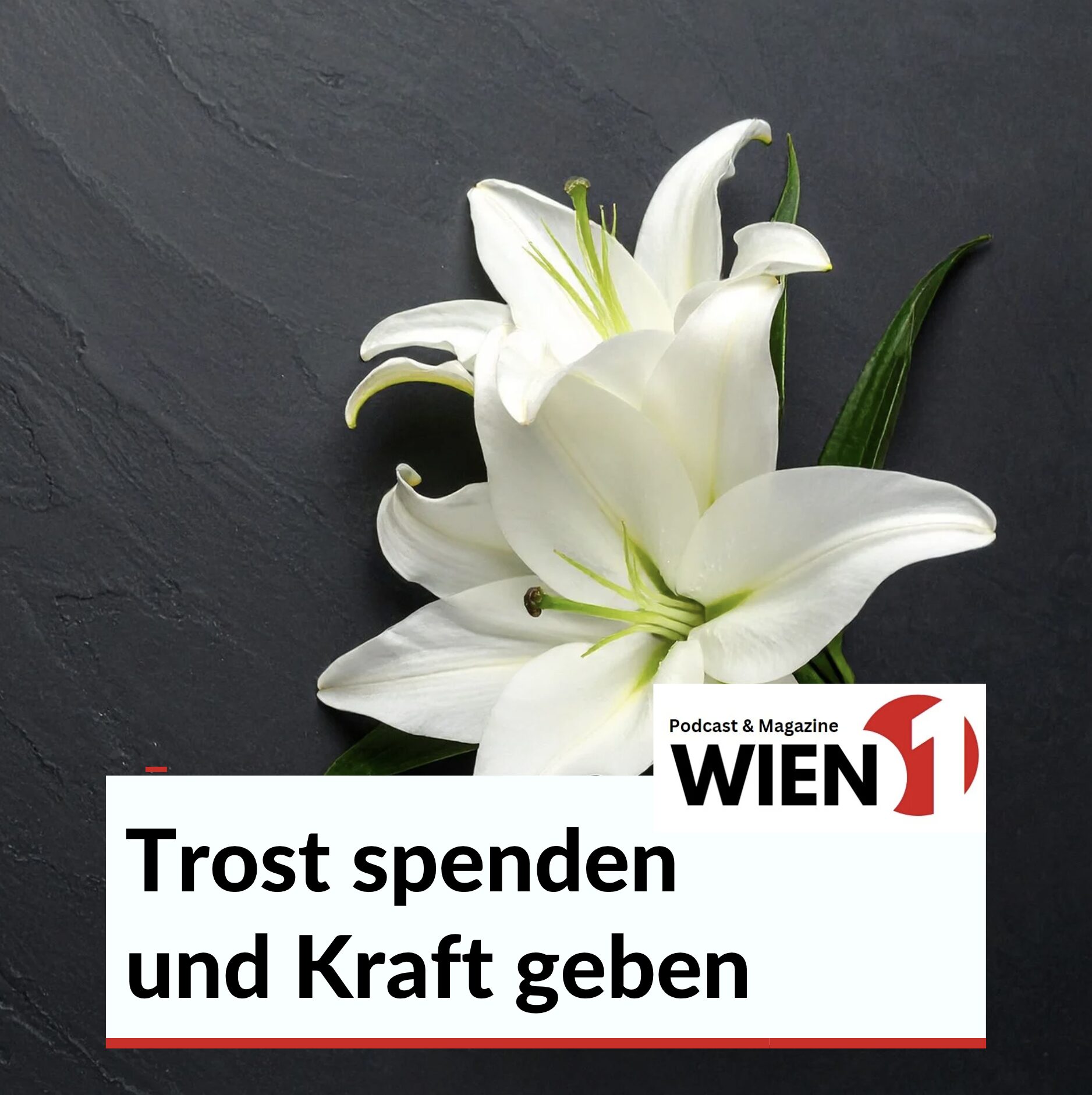 Trost spenden und Kraft geben