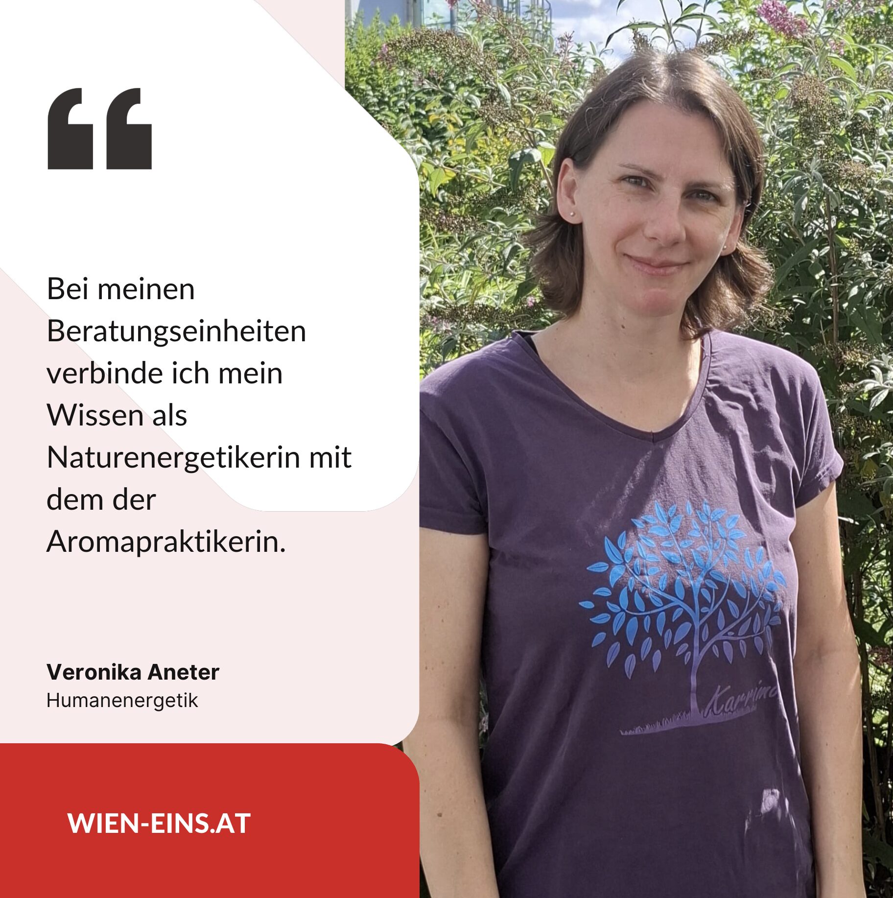 Veronika Aneter Humanenergetik 