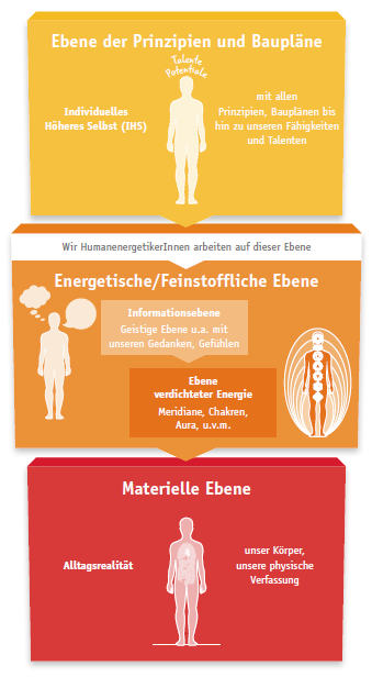Übersichts-Modell der WKO