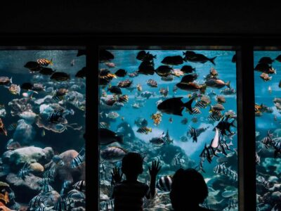 außergewöhnliche kurztrips mit kindern deutschland