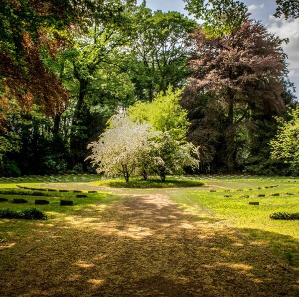 einfriedung bedeutung