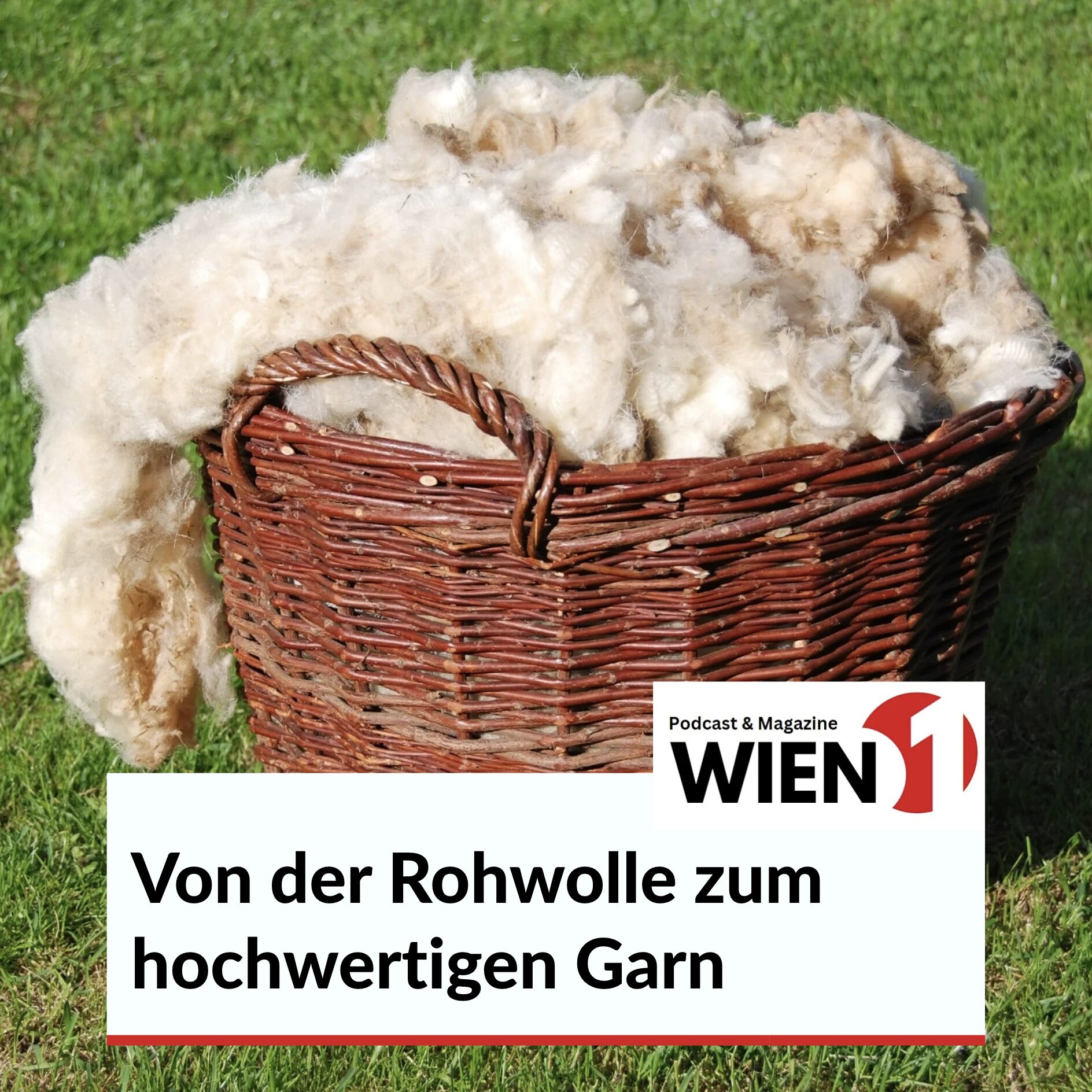 Von der Rohwolle zum hochwertigen Garn Von der Rohwolle zum hochwertigen Garn