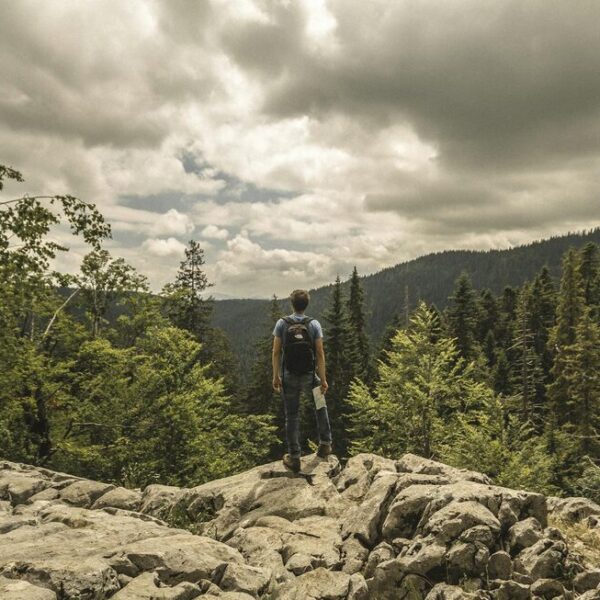 top 10 wanderwege in niederösterreich