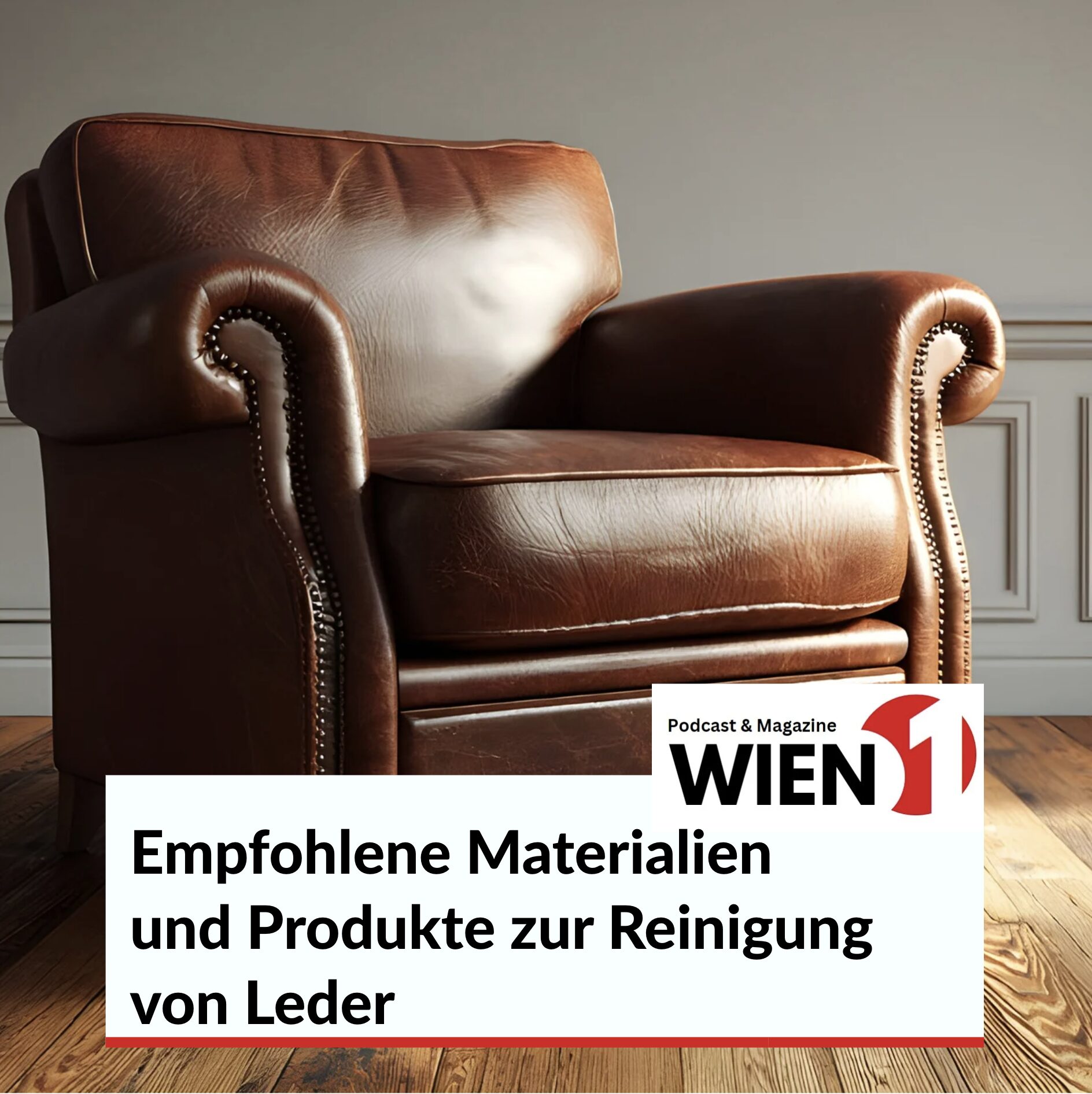 Empfohlene Materialien und Produkte zur Reinigung von Leder Empfohlene Materialien und Produkte zur Reinigung von Leder