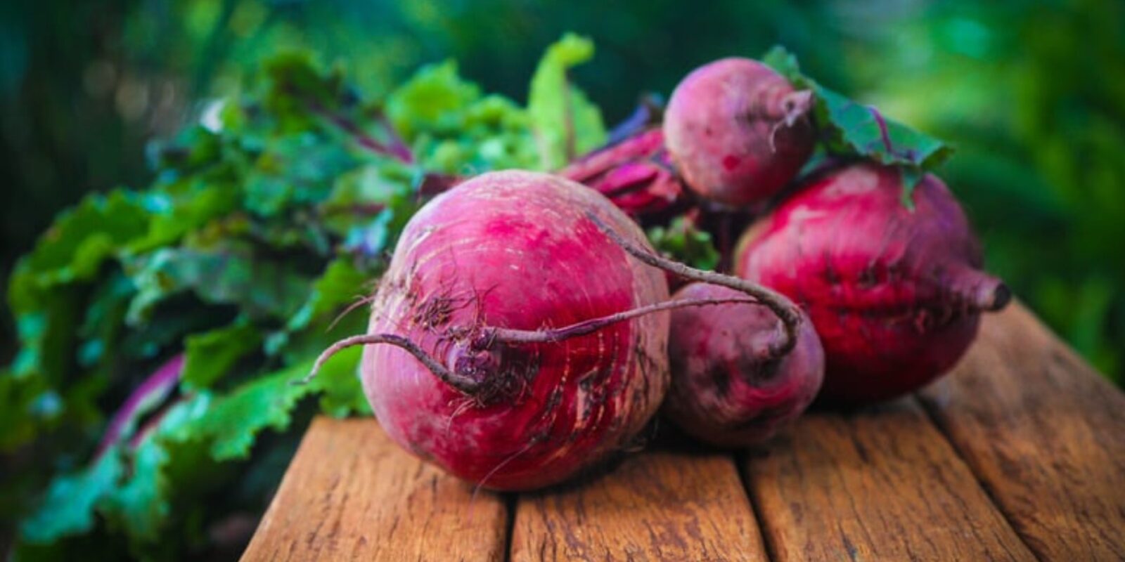 Kann man Rote Beete roh essen Der Faktencheck zum unterschätzten Superfood