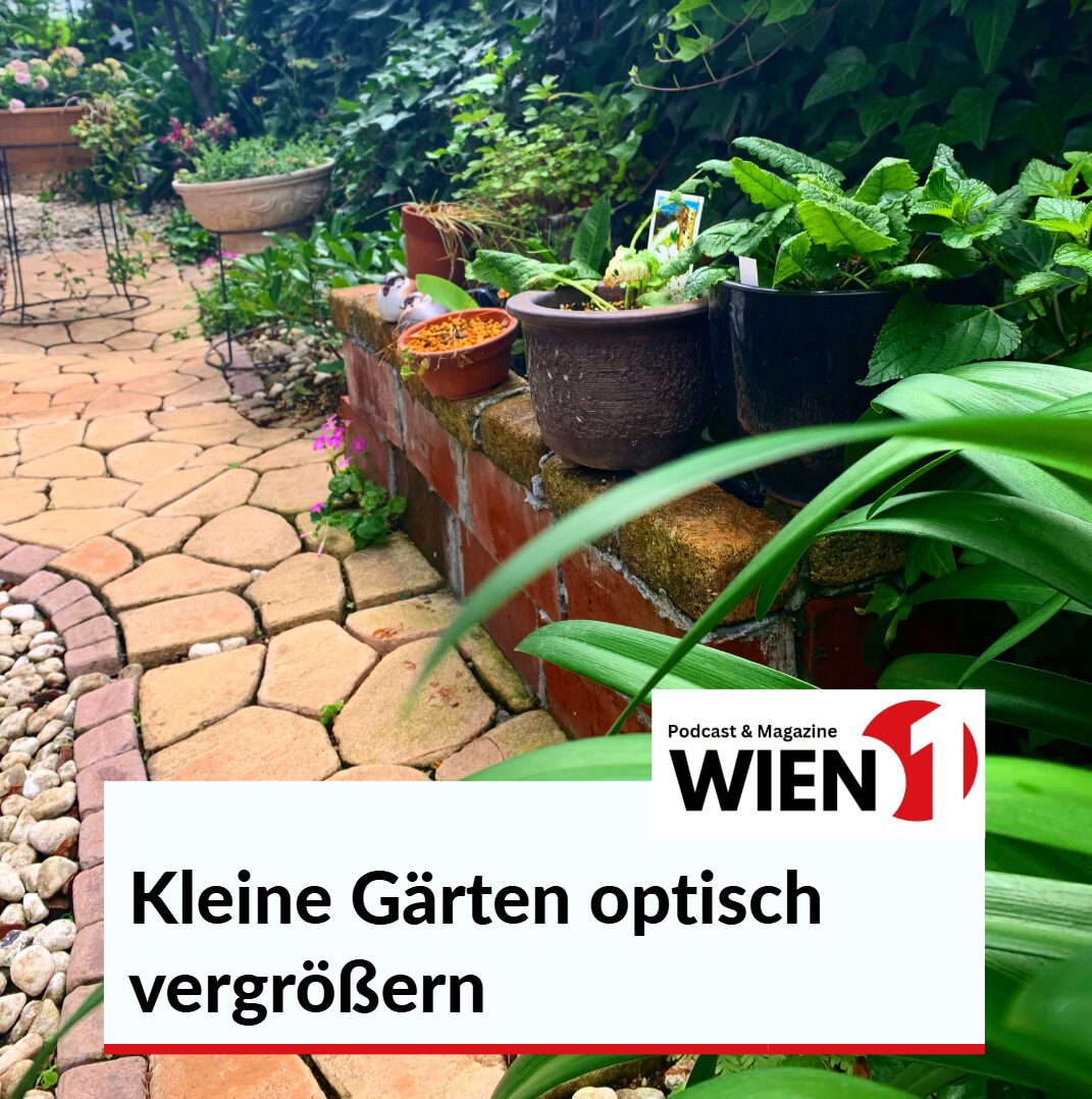 Kleine Gärten optisch vergrößern Kleine Gärten optisch vergrößern