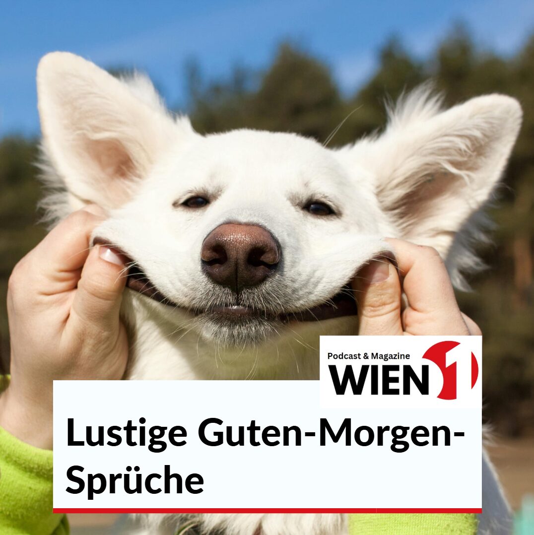 lustige guten morgen sprüche