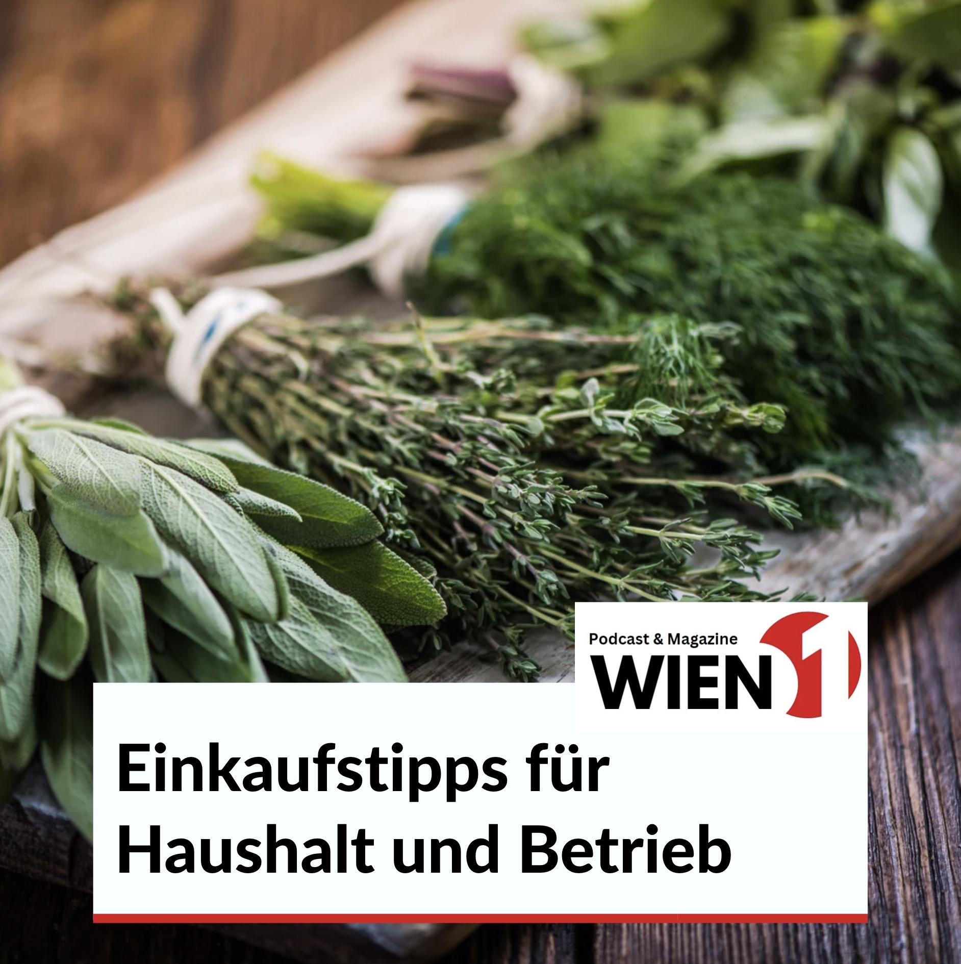 Einkaufstipps für Haushalt und Betrieb Einkaufstipps für Haushalt und Betrieb